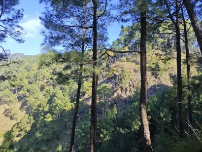 Tiger's Nest Trail