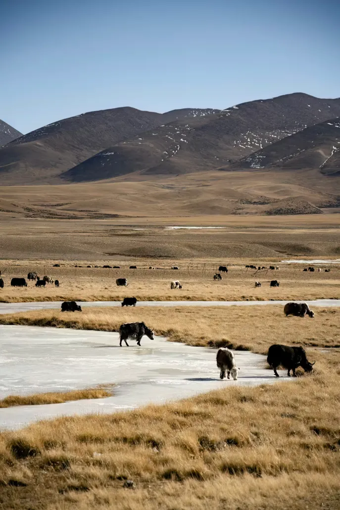 Roads of TIbet
