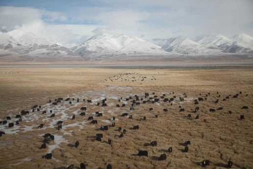 Views of Tibet from a train